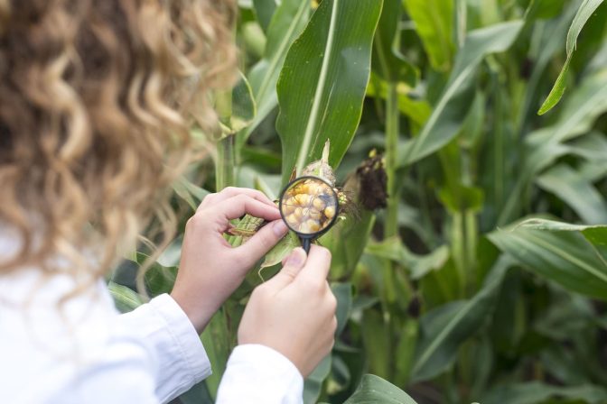Producción de Agrocultivos